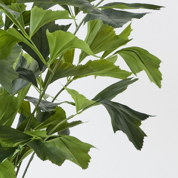 Palm Fishtail Green 110cm Pack of 2