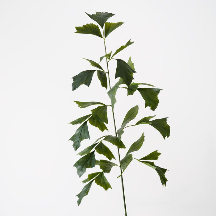 Palm Fishtail Spray Green 155cm Pack of 6