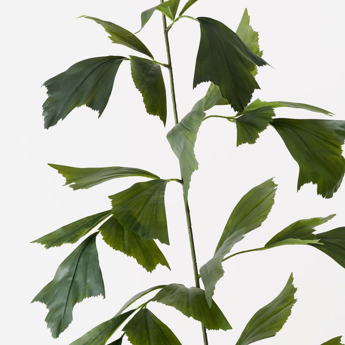 Palm Fishtail Spray Green 155cm Pack of 6