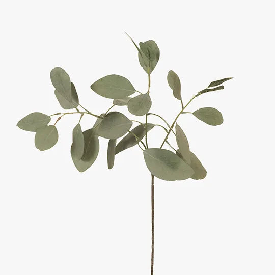 Eucalyptus Silver Dollar Green Grey 60cm - Pack of 12