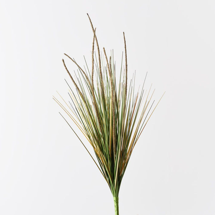 Grass Cattail Bush Natural 71cm Pack of 6