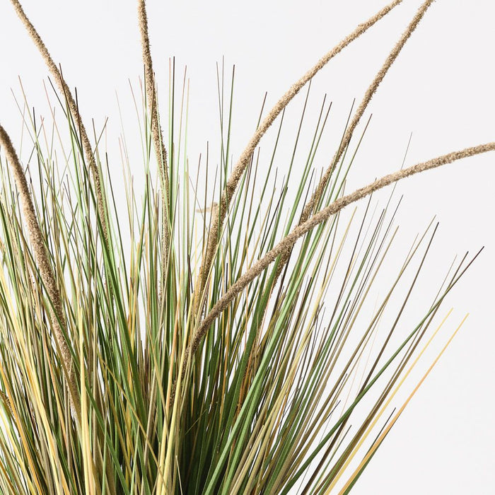 Grass Cattail Plant Natural 68cm Pack of 2