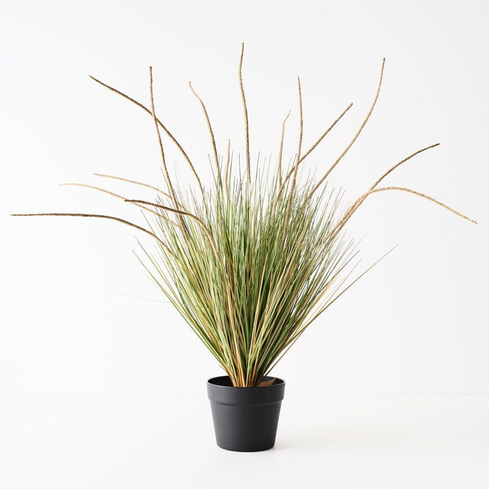 Grass Cattail Plant Natural 81cm Pack of 2