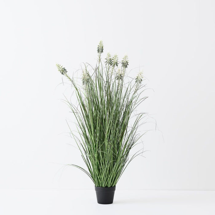 Grass Agave Flowering Plant Green White 125cm Pack of 2