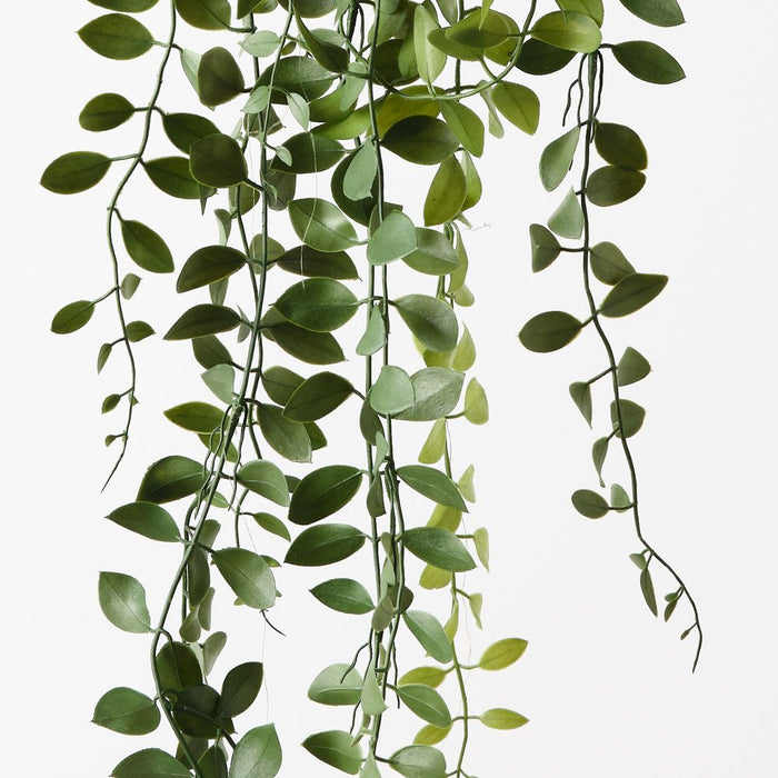 Fern Button Hanging Bush Dark Green 178cm Pack of 6