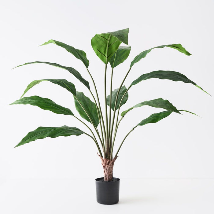 Spathiphyllum Leaf Plant Green 103cm Pack of 2