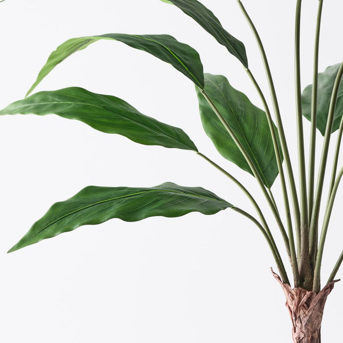 Spathiphyllum Leaf Plant Green 103cm Pack of 2