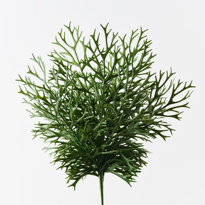 Fern Staghorn Bush Green 59cm Pack of 6