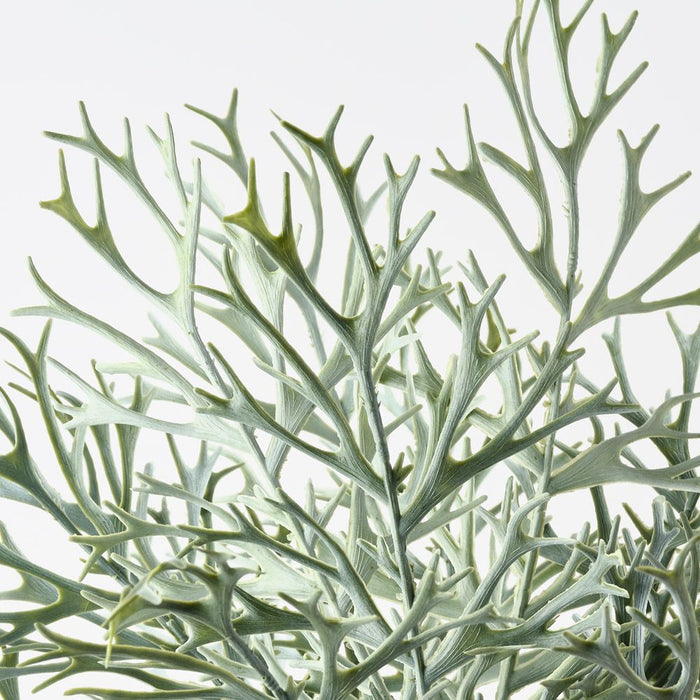 Fern Staghorn Bush Grey Green 59cm Pack of 6