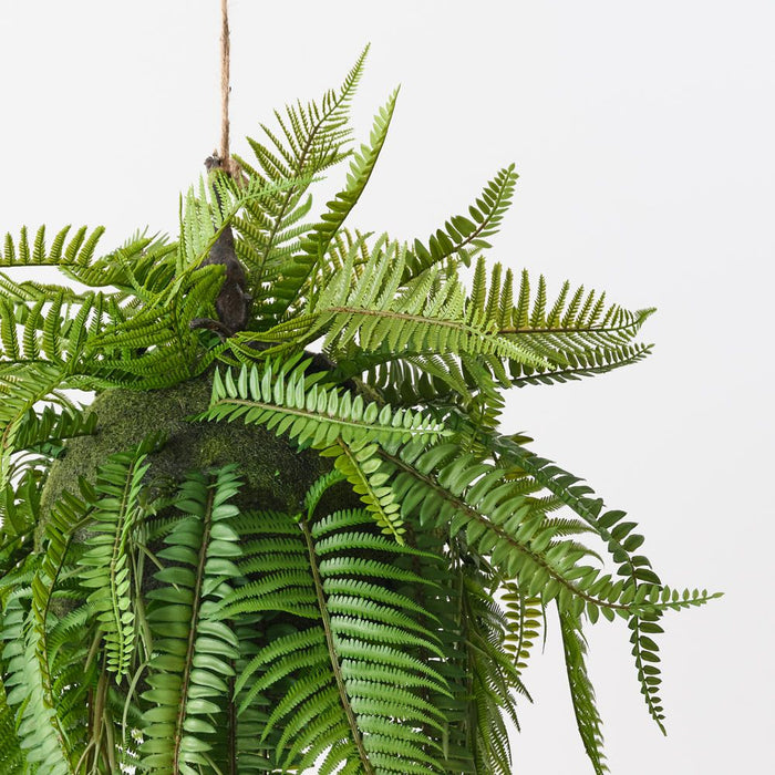 Fern Boston Hanging Ball Green 105cm