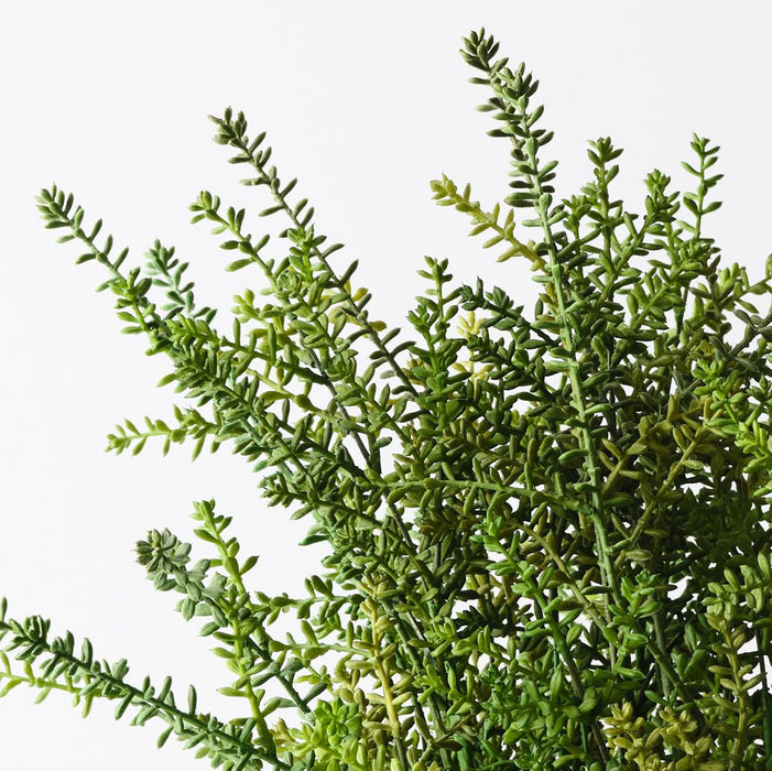 Sedum Plant Green 55cm Pack of 2