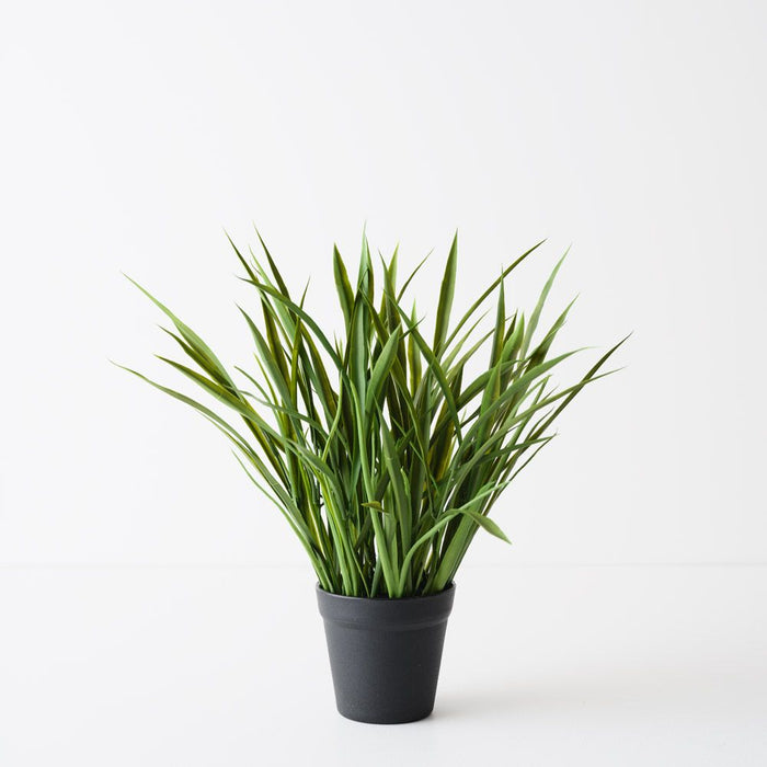 Grass Plant Green 40cm Pack of 4