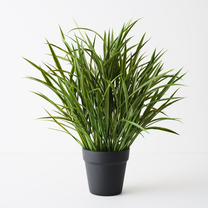 Grass Plant Green 54cm Pack of 2