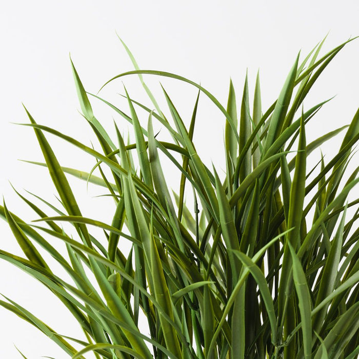 Grass Plant Green 54cm Pack of 2