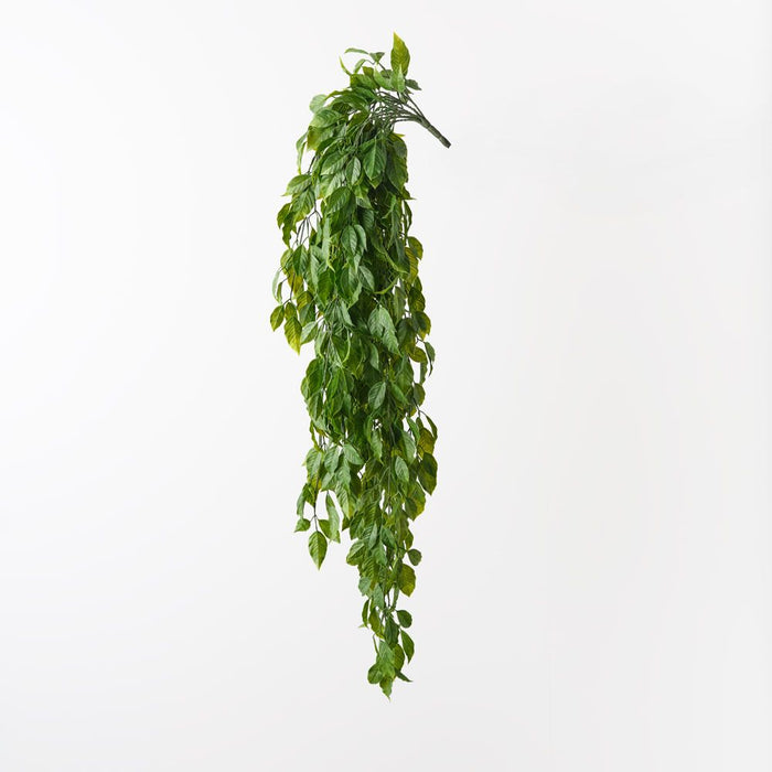 Ebony Leaf Hanging Bush Green 103cm Pack of 6