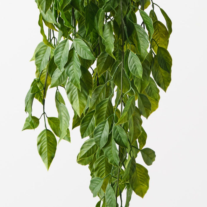 Ebony Leaf Hanging Bush Green 103cm Pack of 6