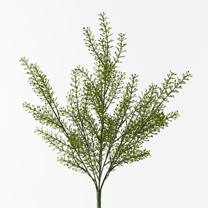 Seed Bush Green 48cm Pack of 12
