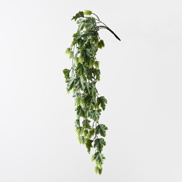 Hops Hanging Bush Green 89cm Pack of 6