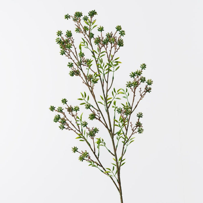 Seed Spray Green 89cm Pack of 12