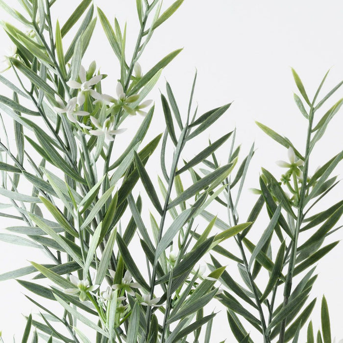 Star Cluster Acacia Spray Green White 93cm Pack of 12