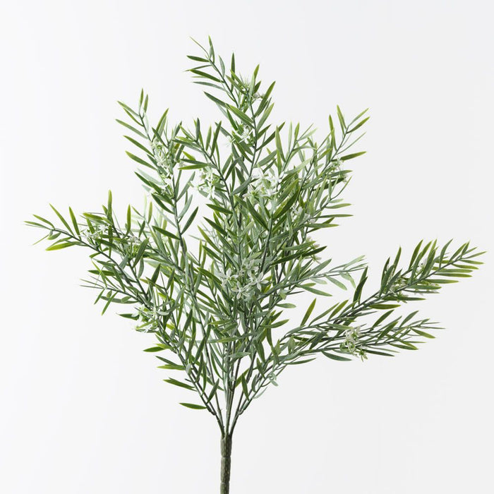 Star Cluster Acacia Bush Green White 47cm Pack of 12