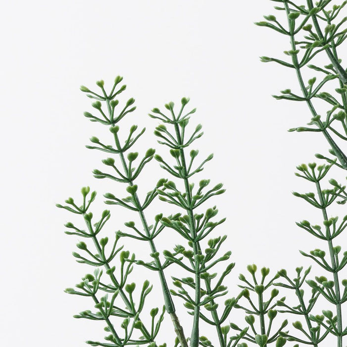 Seed Spray Grey Green 76cm Pack of 12