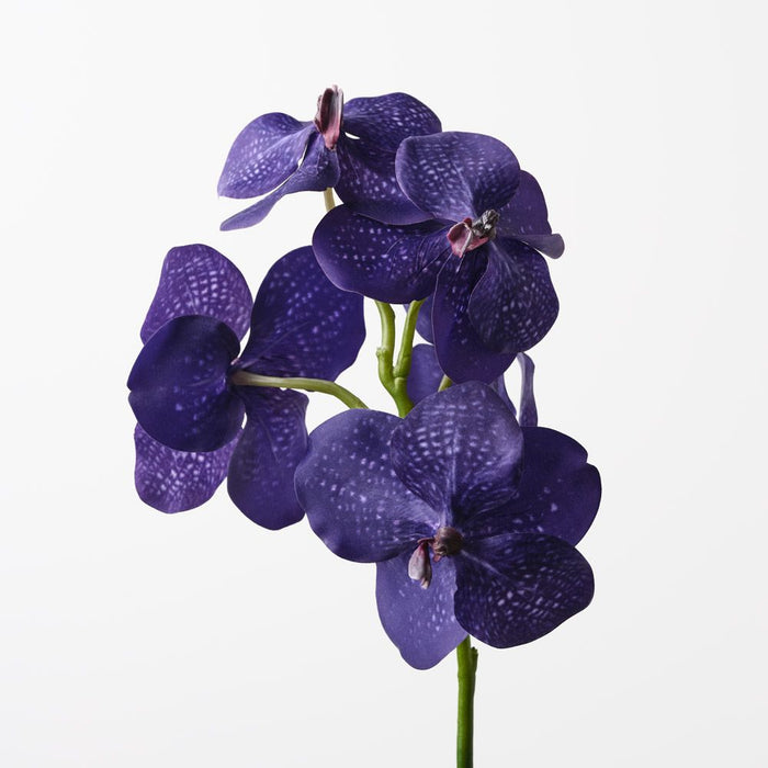 Orchid Vanda Violet 66cm Pack of 6