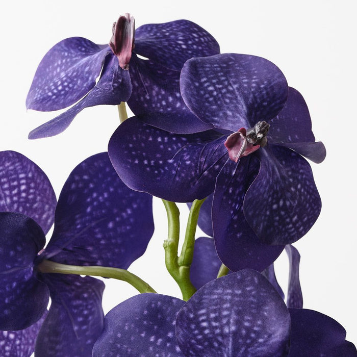 Orchid Vanda Violet 66cm Pack of 6