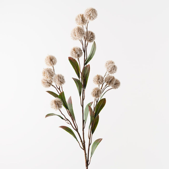 Thistle Spray Sand 86cm Pack of 12