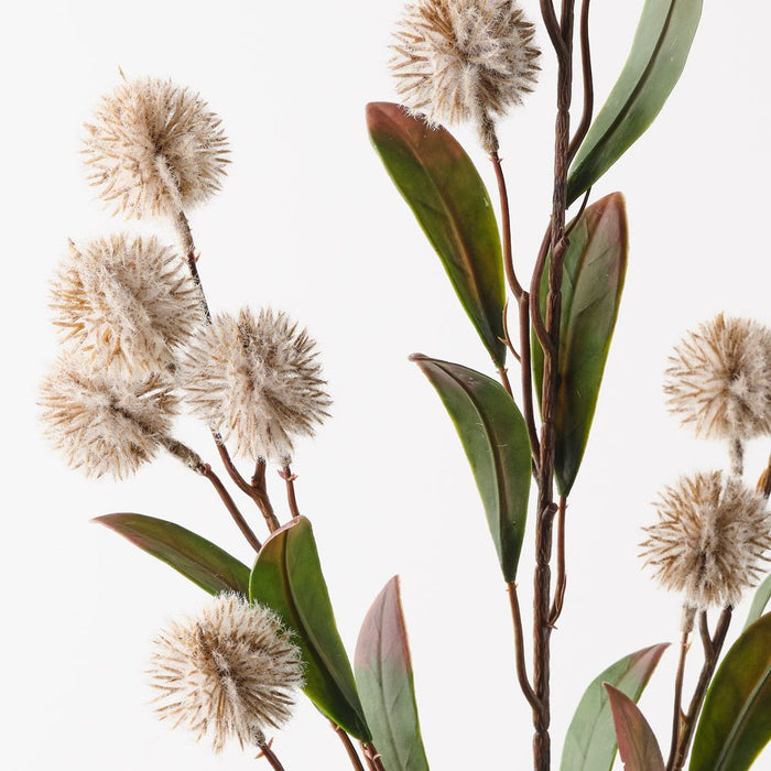 Thistle Spray Sand 86cm Pack of 12