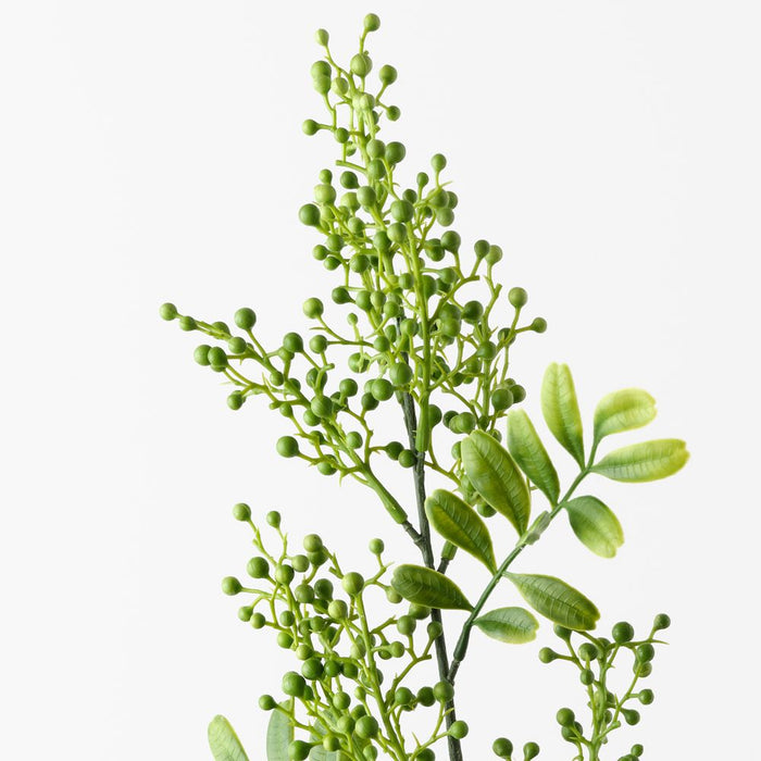 Berry Pepper Spray Green 75cm Pack of 12