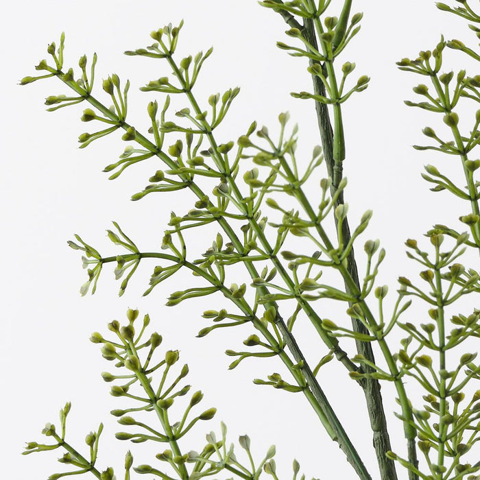 Seed Spray Green 76cm Pack of 12