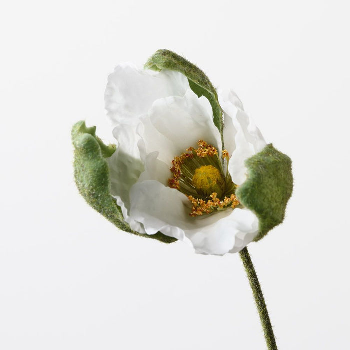 Poppy Bud White 79cm Pack of 12