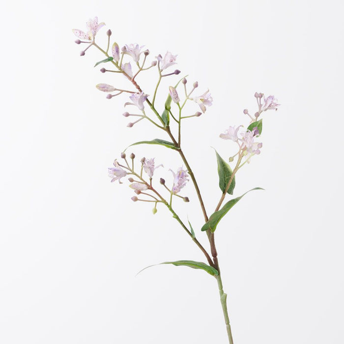 Lily Japanese Lavender 76cm Pack of 12