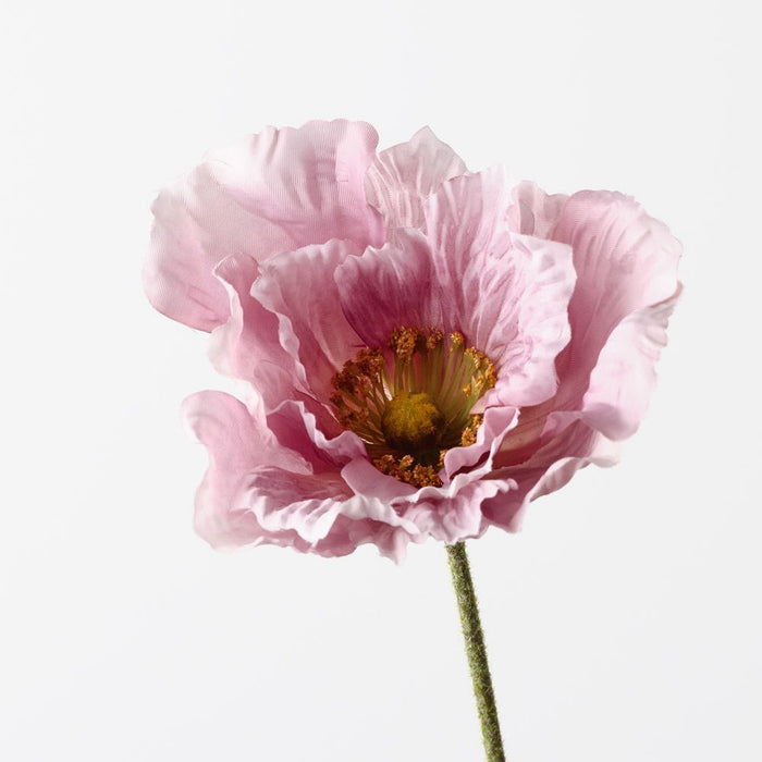 Poppy Lavender 76cm Pack of 12