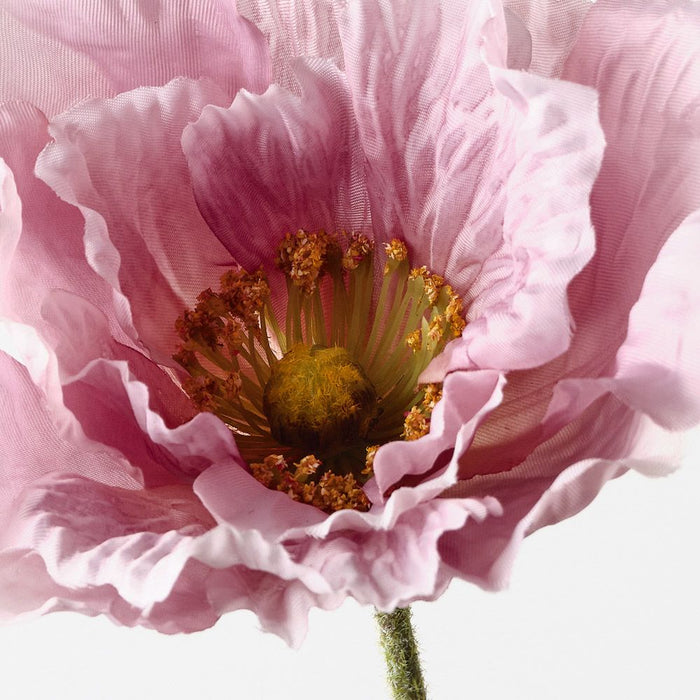 Poppy Lavender 76cm Pack of 12