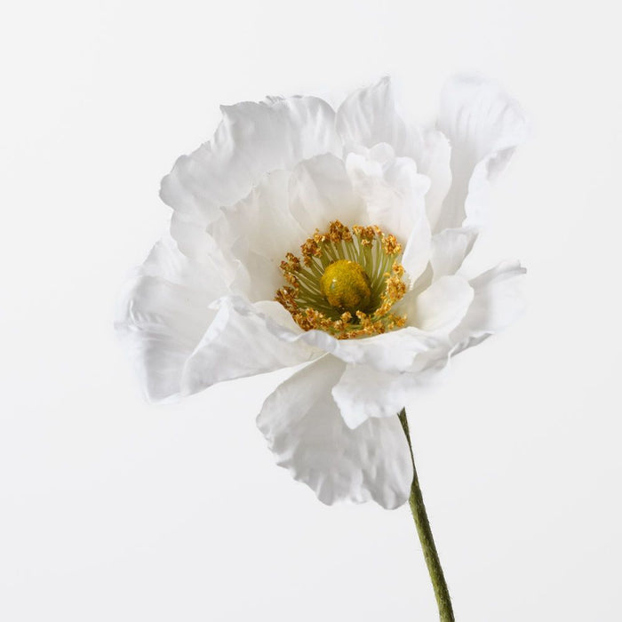 Poppy White 76cm Pack of 12