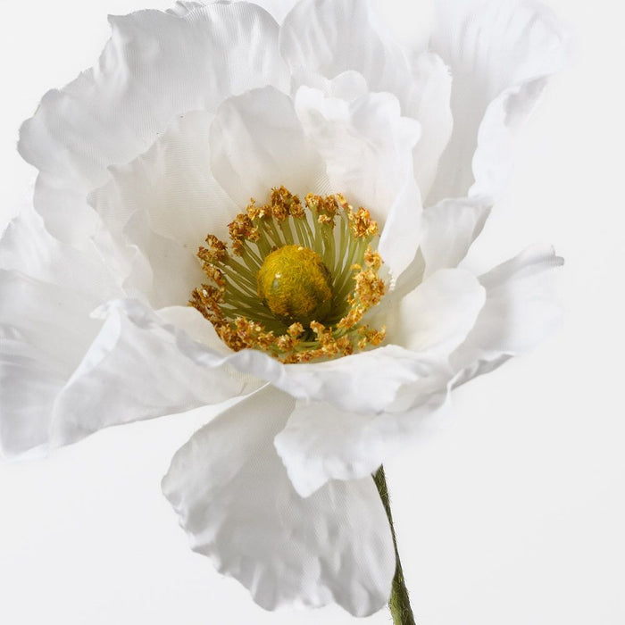 Poppy White 76cm Pack of 12