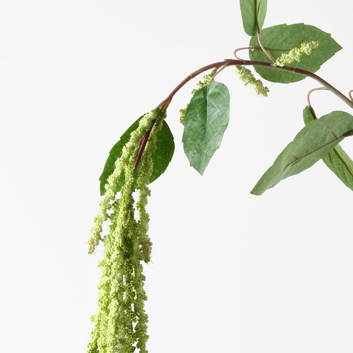 Amaranthus Spray Green 170cm Pack of 12