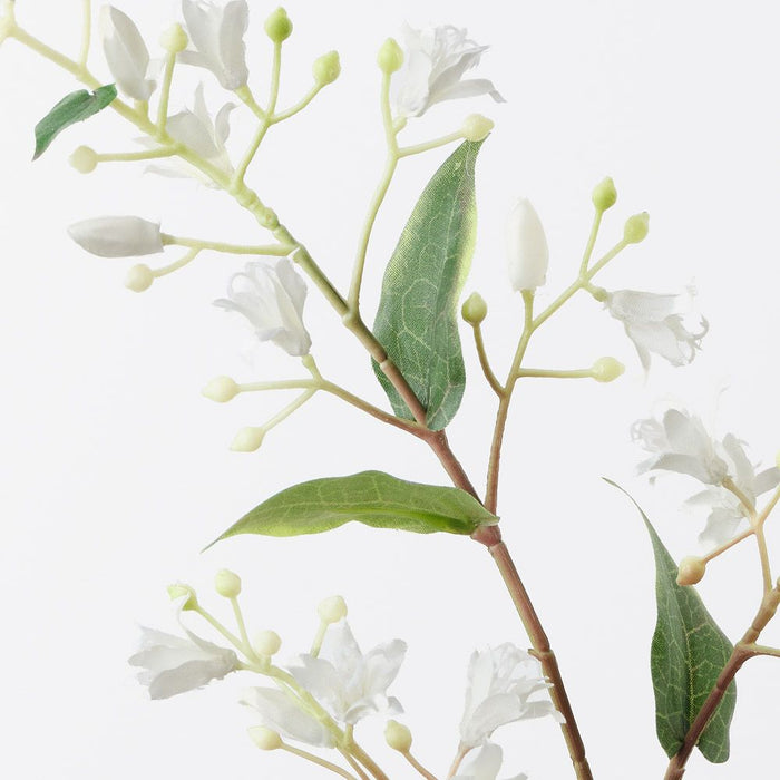 Lily Japanese White 76cm Pack of 12