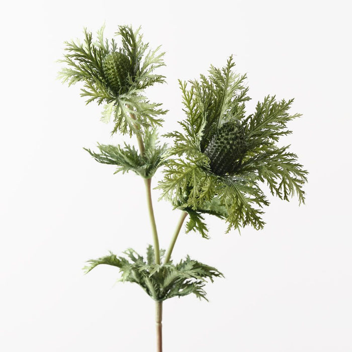 Thistle Spray Green 69cm Pack of 12