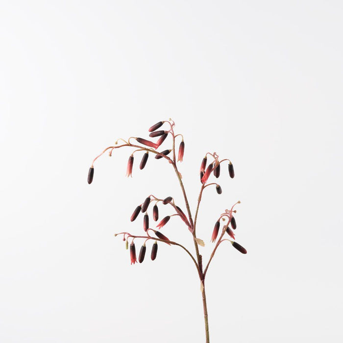 Magic Bells Spray Burgundy 101cm Pack of 12