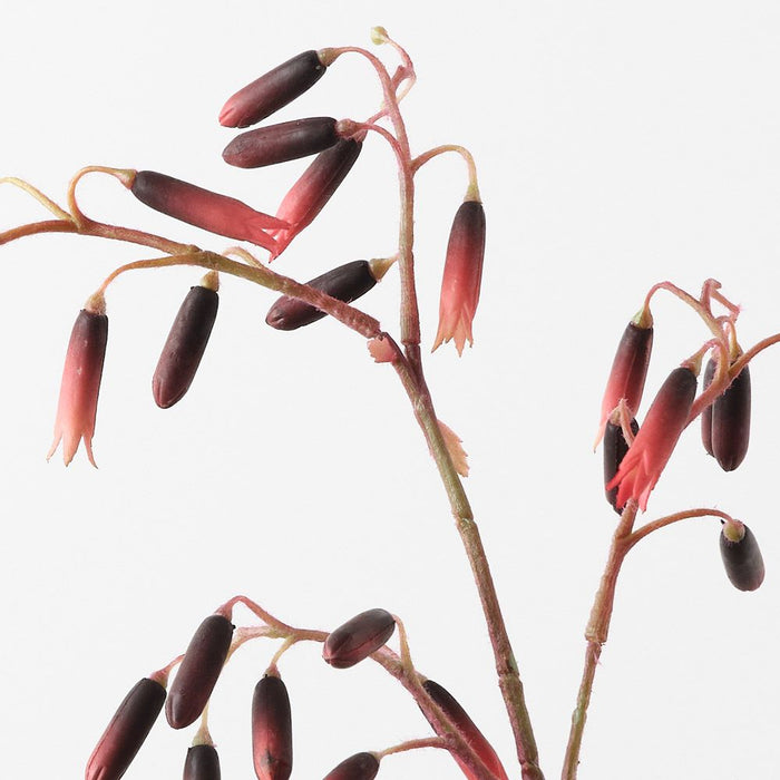 Magic Bells Spray Burgundy 101cm Pack of 12