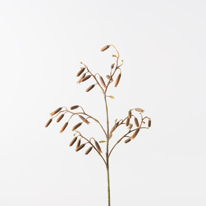 Magic Bells Spray Coffee 101cm Pack of 12