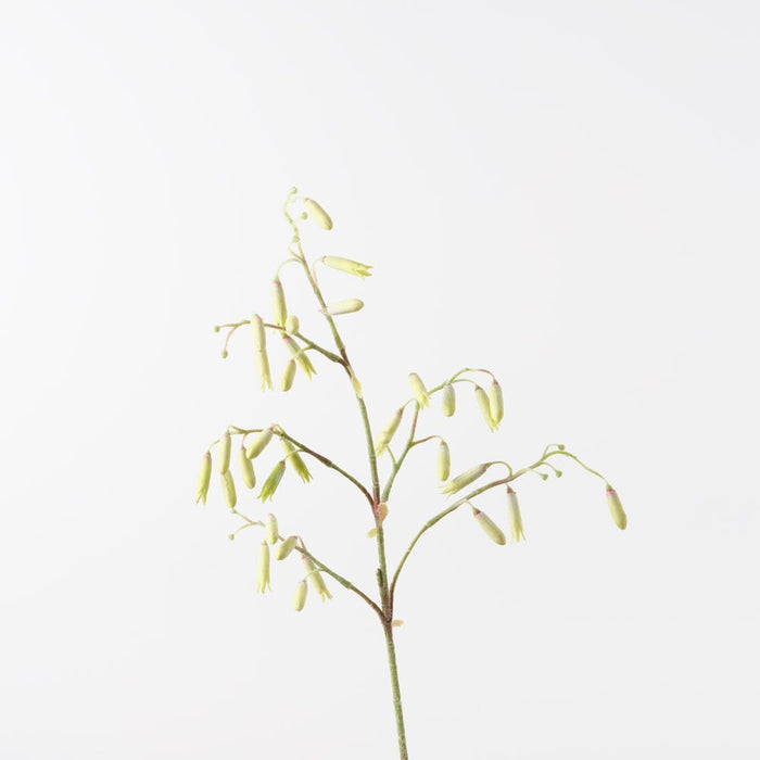 Magic Bells Spray Light Green 101cm Pack of 12