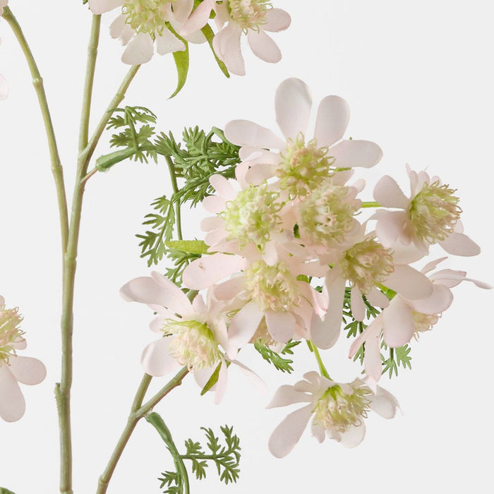 Orlaya Lace Spray Light Pink 100cm Pack of 12