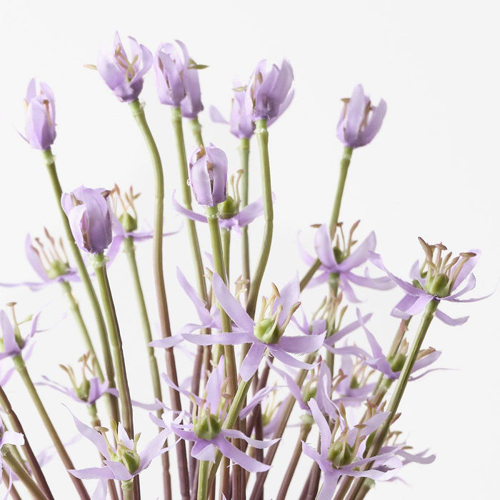 Allium Lavender 105cm Pack of 12