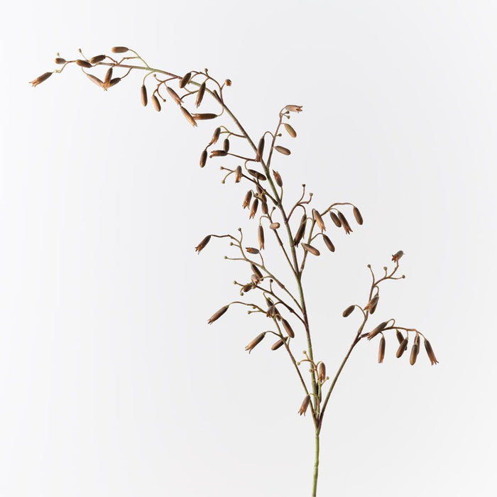 Magic Bells Spray Coffee 165cm Pack of 6