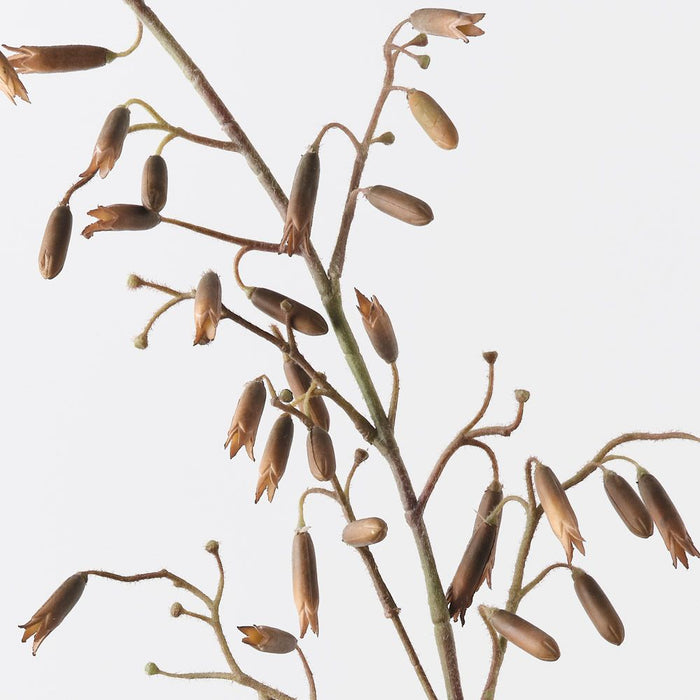 Magic Bells Spray Coffee 165cm Pack of 6