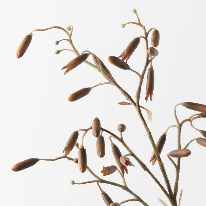 Magic Bells Spray Coffee 125cm Pack of 12